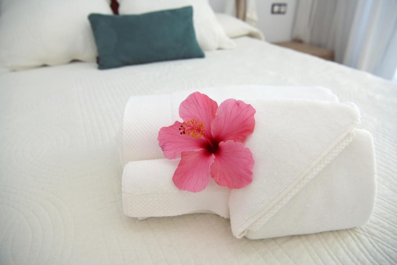 Kharisma Bed and Breakfast Αλτέα Εξωτερικό φωτογραφία